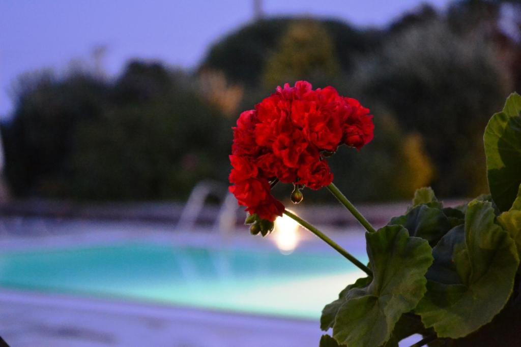 Anthonas Apartments Imerovigli  Dış mekan fotoğraf